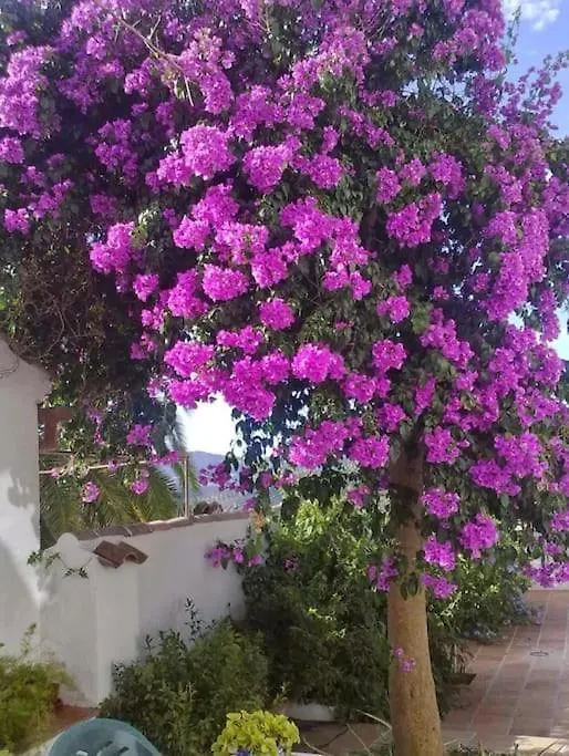 La Villa, Alojamiento Rural Iznajar 0*,  Spain